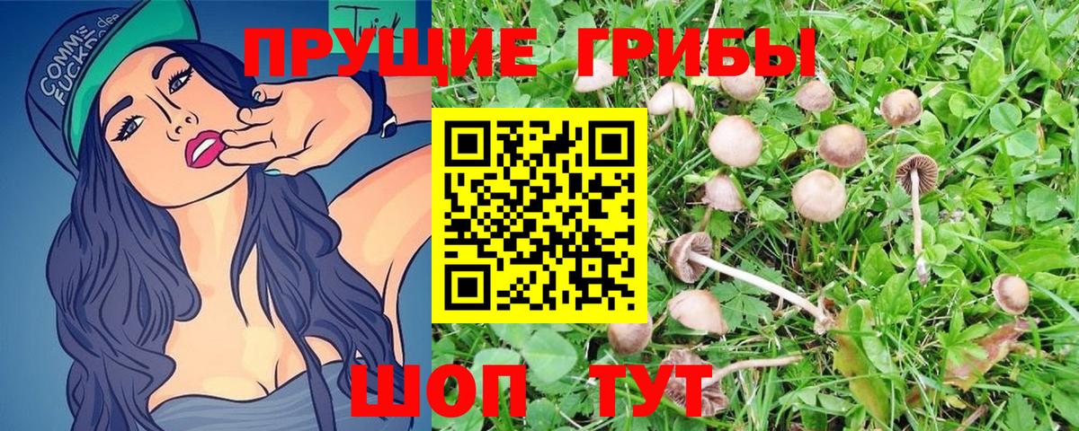 Галлюциногенные грибы Magic Shrooms  Псилоцибиновые грибы Psilocybine cubensis  Нерюнгри  Вход с VPN 